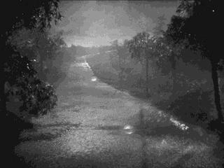 上海台风安比到哪去了,台风安比会来上海吗