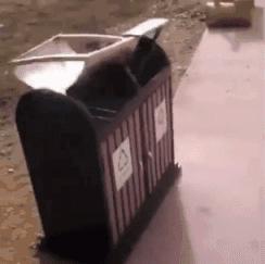 上海台风安比到哪去了,台风安比会来上海吗