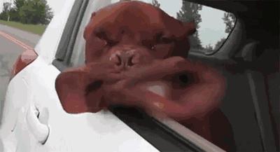 上海台风安比到哪去了,台风安比会来上海吗