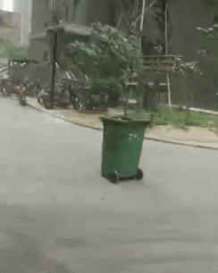 上海台风安比到哪去了,台风安比会来上海吗