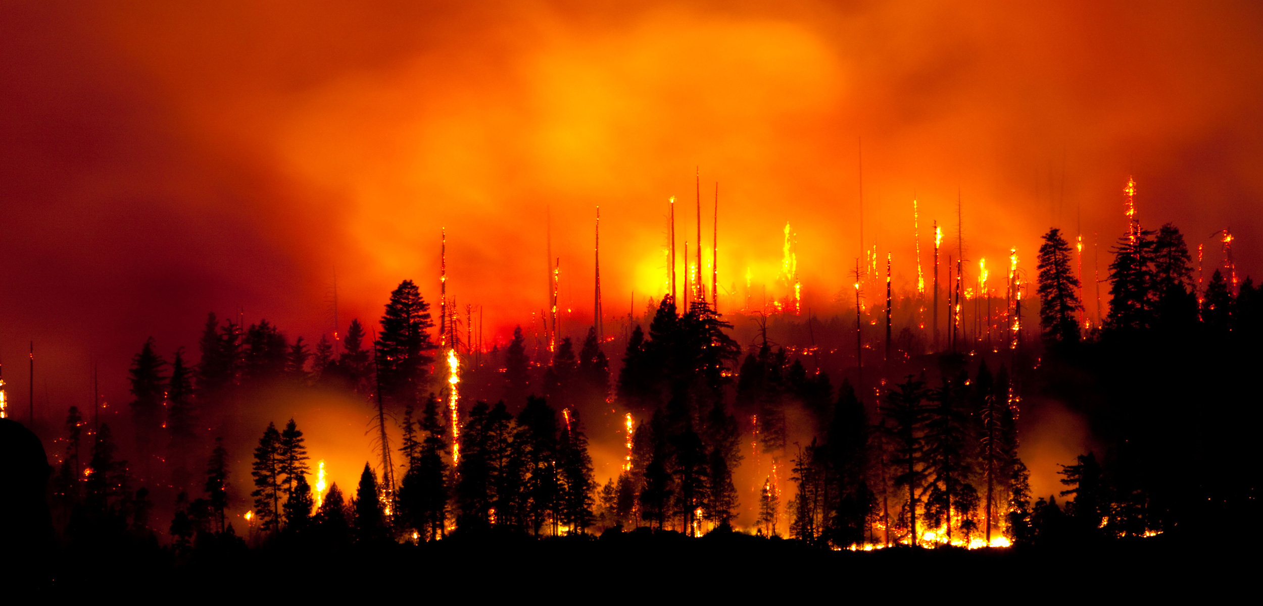 参宿七取代太阳一秒钟会怎样,太阳被参宿七取代