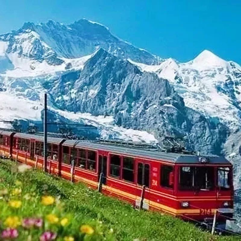 风靡全球！魔都最新网红展！国内首个“宫崎骏”动画展、LEGO乐高、长靴皇后……全来了！