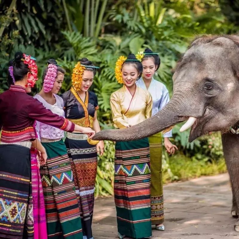 风靡全球！魔都最新网红展！国内首个“宫崎骏”动画展、LEGO乐高、长靴皇后……全来了！