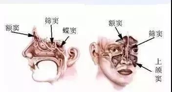 一天有多少小学生溺水身亡,一天内5个孩子没了命怎么办