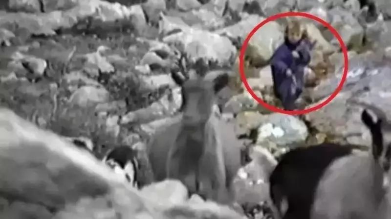 468分人生还有希望吗,高考没考好人生还可以逆袭吗