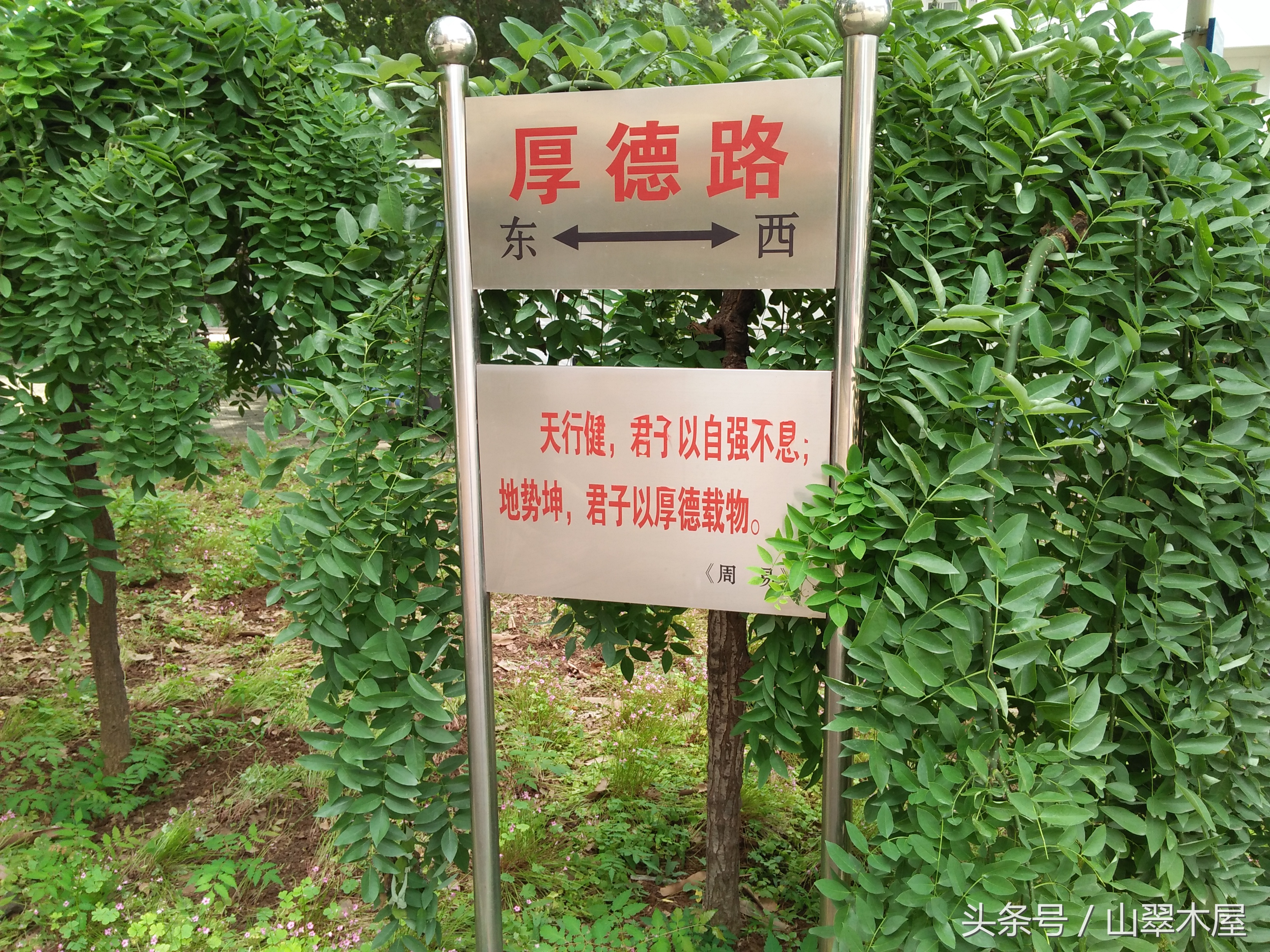 洛阳八中，养气蓄势立德树人