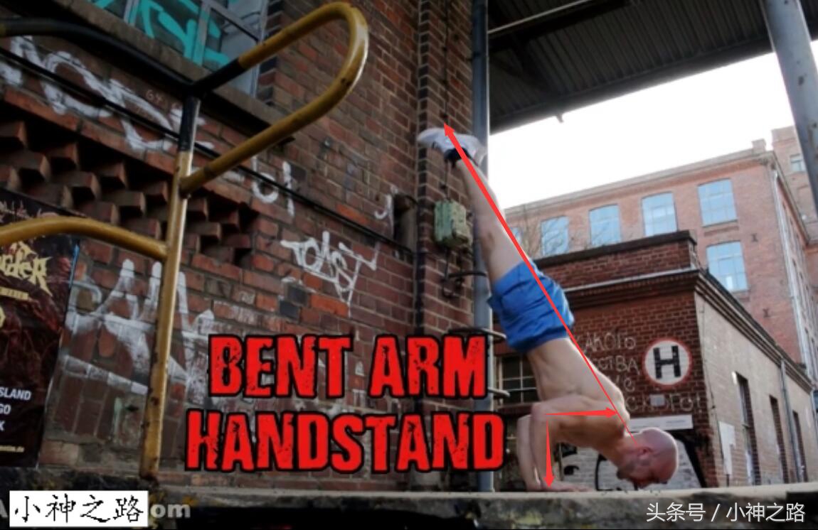 自由倒立进阶倒立撑,自由倒立如何练防摔技巧