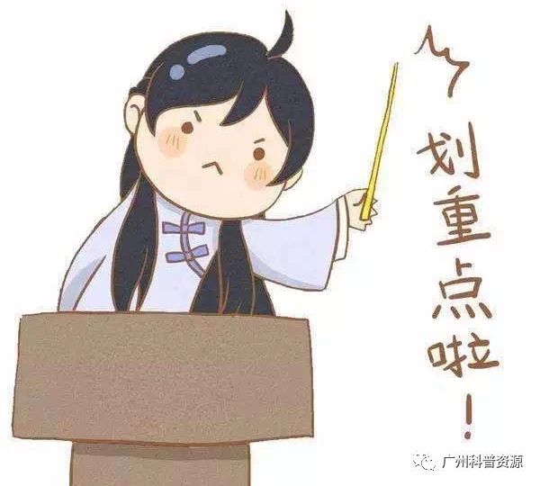 科普行暑假实践活动,互动科普活动