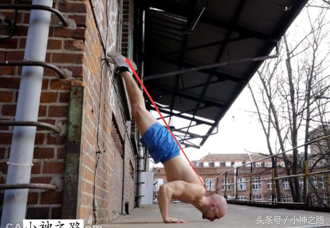 自由倒立进阶倒立撑,自由倒立如何练防摔技巧