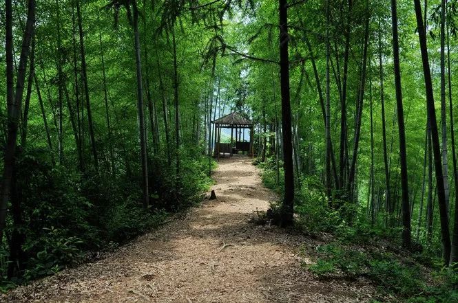炎炎夏日诗词,诗词朗诵夏日山中