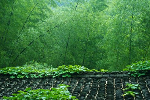 炎炎夏日诗词,诗词朗诵夏日山中