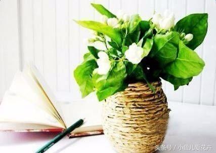 家里有空瓶子的不要扔简单改造,空瓶子用来制作花瓶