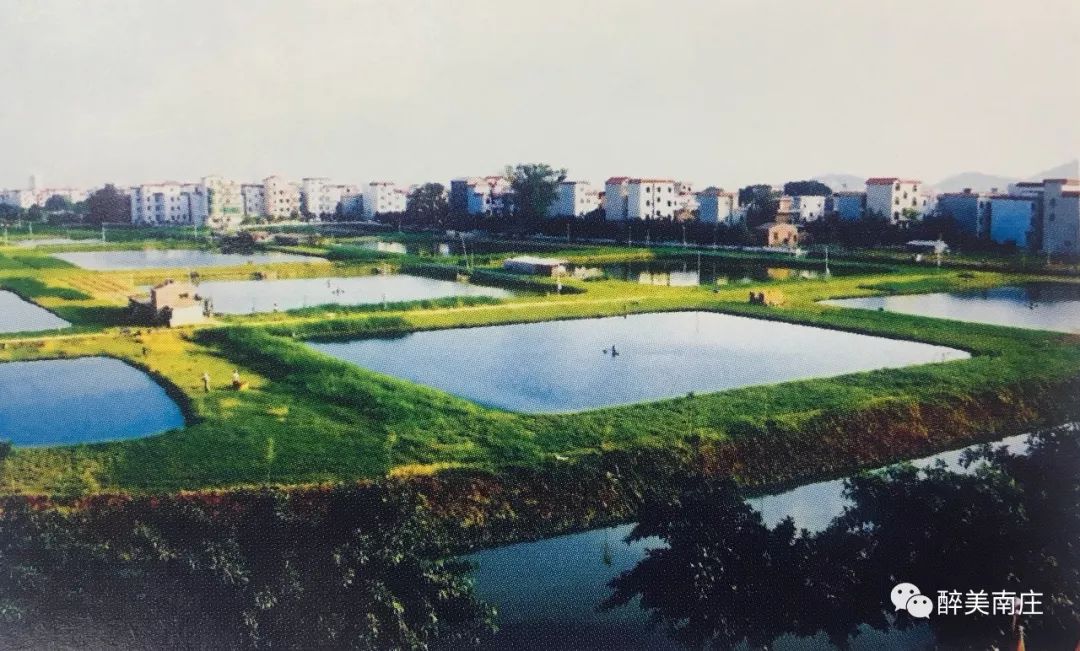 人民日报推动经济高质量发展,人民日报生态振兴