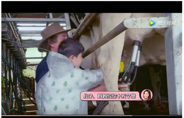 a2品牌代言人,a2奶粉代言