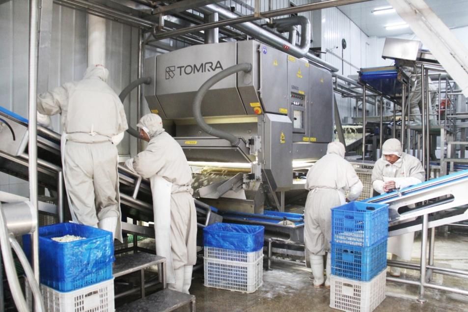 蔬菜全麦脆片,蔬菜干果蔬脆片做法