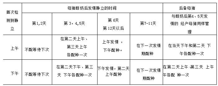 母猪适时输精,母猪直配与人工授精产仔数