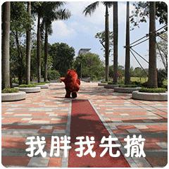 芜湖方特抖音活动,抖音方特