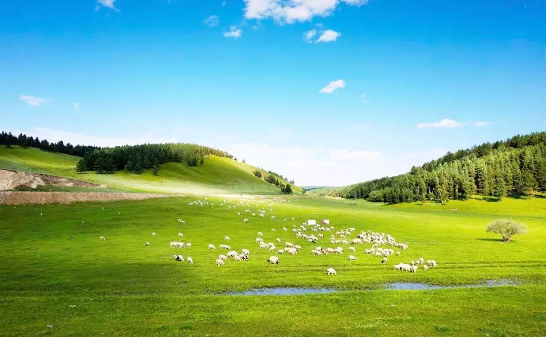 专列开向正北方，健康老人相聚呼伦贝尔草原，河南多地均可上下客