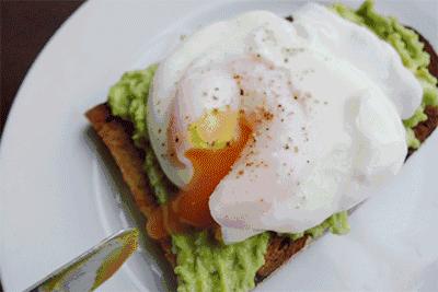 鸡蛋壳别扔掉,鸡蛋壳不要扔了太可惜了用来种菜