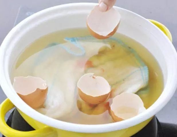 鸡蛋壳别扔掉,鸡蛋壳不要扔了太可惜了用来种菜