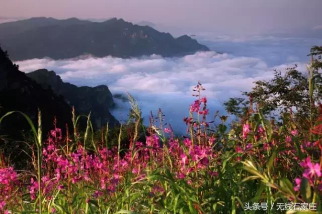 我们向全世界发出邀请!2019,欢迎您来到石家庄!