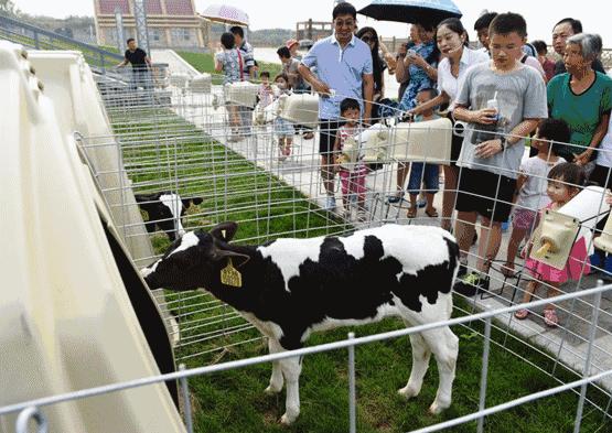 我们向全世界发出邀请!2019,欢迎您来到石家庄!