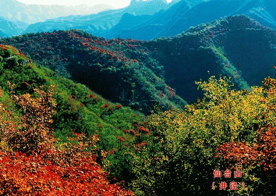 我们向全世界发出邀请!2019,欢迎您来到石家庄!