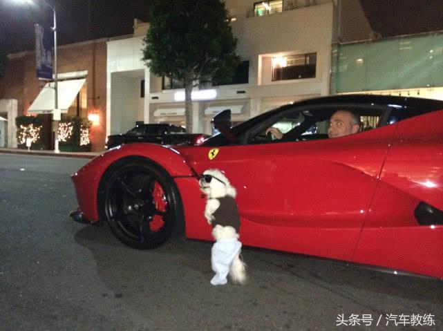 狗老是尿车轮胎上有什么绝招避免,狗狗往车轮胎上尿怎么办