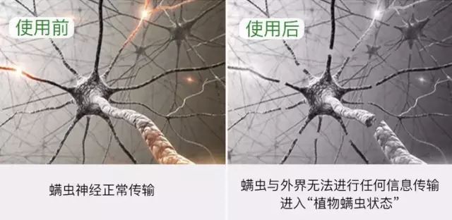 每晚6000000螨虫陪你睡?用它喷一喷,彻底除螨!