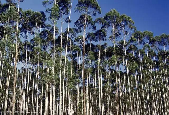 每晚6000000螨虫陪你睡?用它喷一喷,彻底除螨!