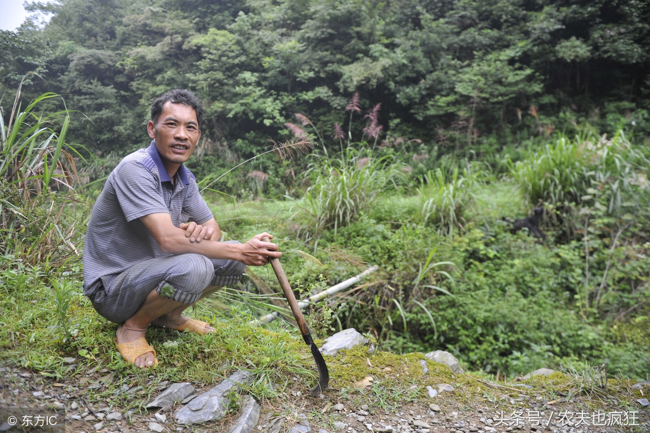 农村俗语前妻如草后妻如宝啥意思,前妻如草后妻如宝什么意思