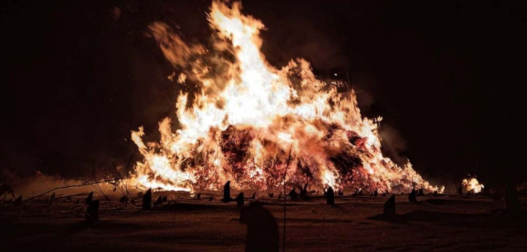 看片1312部，理想很美好，现实很骨感