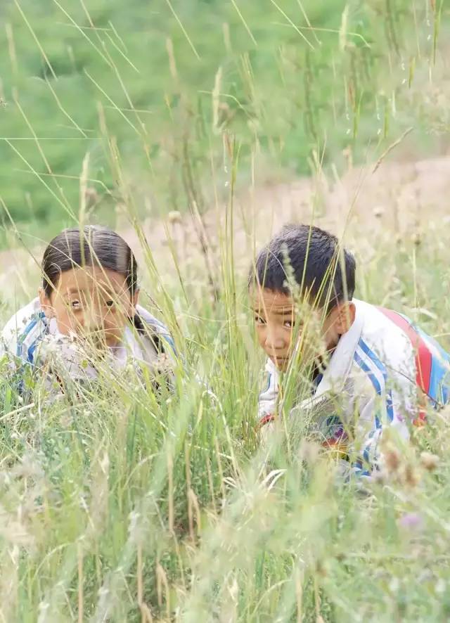 看片1312部，理想很美好，现实很骨感