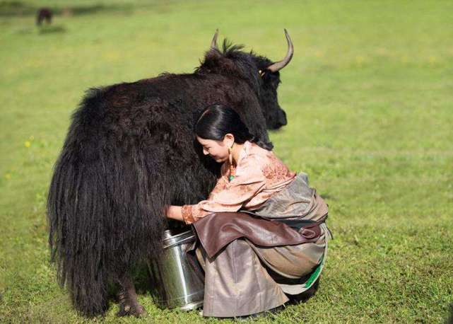 a2奶粉罚款原因,a2奶粉被罚十万