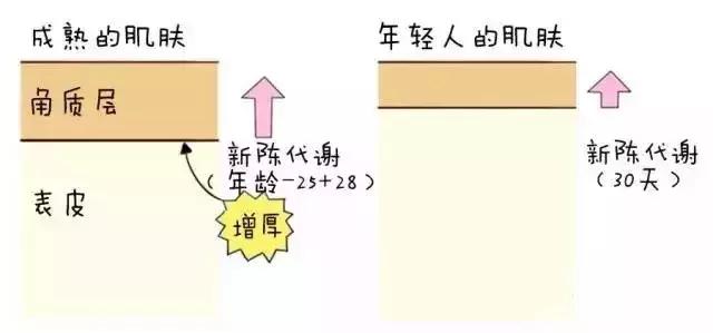 怎么知道去不去角质,教你如何正确去角质