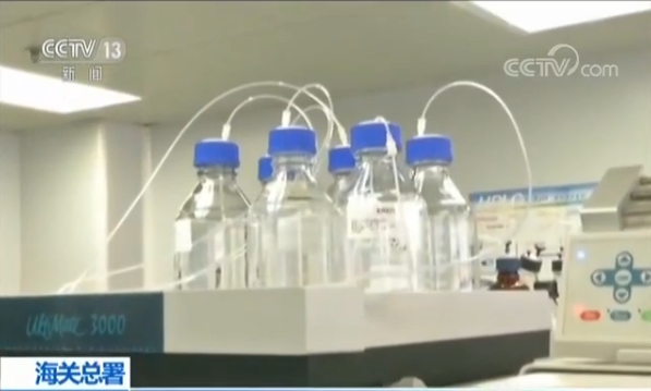 代购的东西被海关扣谁负责,进口食品有哪些种类