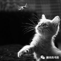 我不是药神真正的人是谁,我不是药神谁才是真正的坏人