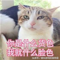 0氪党打深渊,最新版本卡组推荐