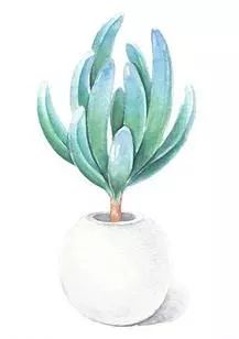 争做红领巾小健将的活动计划,兰州市青少年足球联赛2020