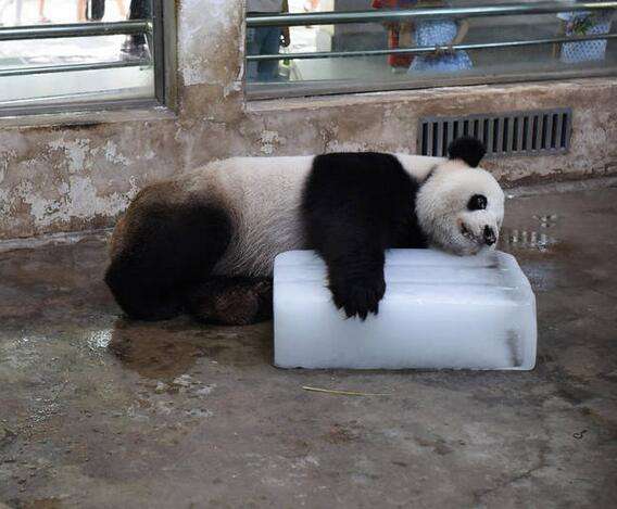 非洲兄弟都害怕的夏天,古代人是怎么过的?