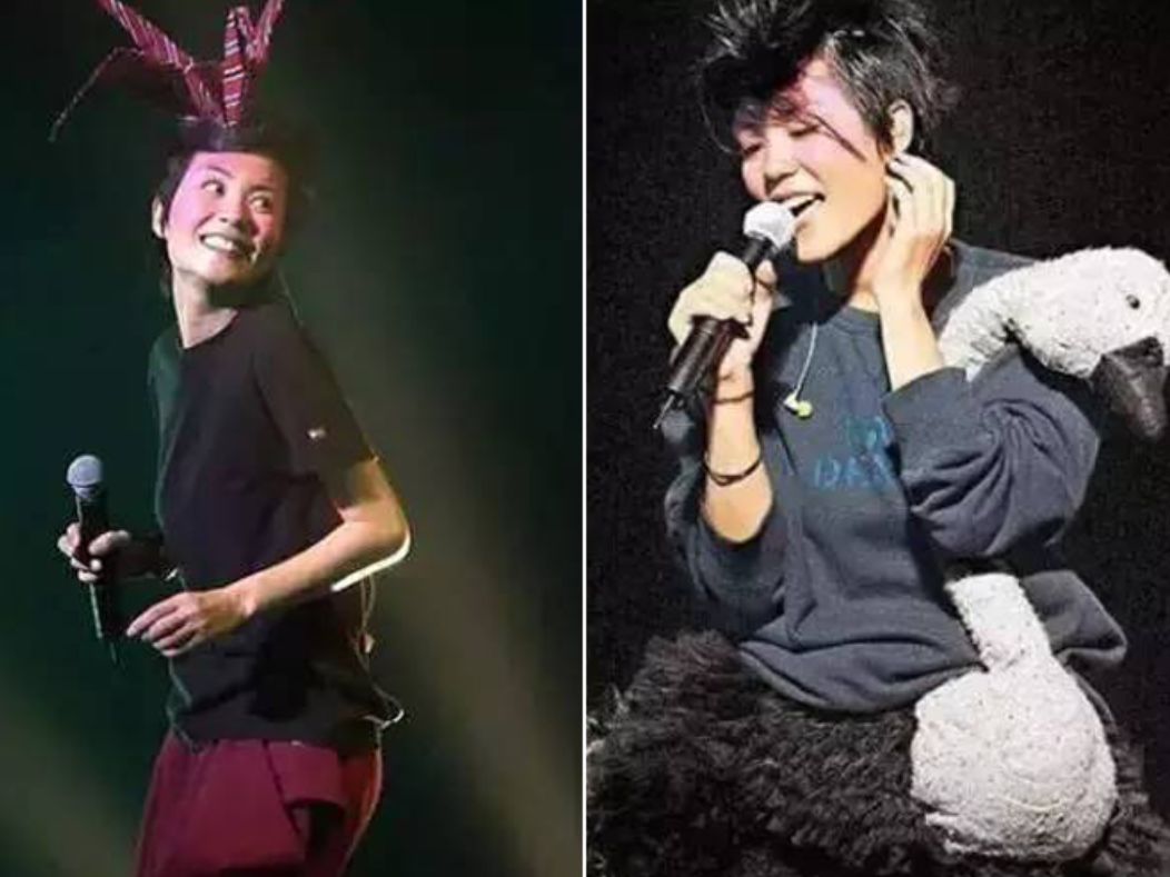 石榴粉别狂！王菲爱你24年而已