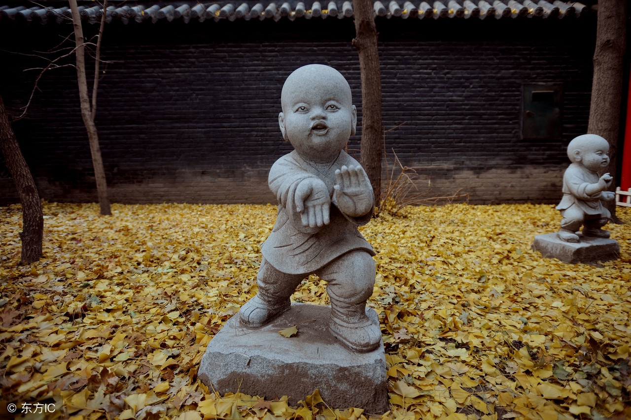 沙弥十戒是什么意思,沙弥戒是什么戒律