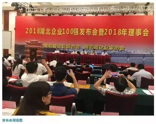 湖北电子企业100强排名,湖北100强企业