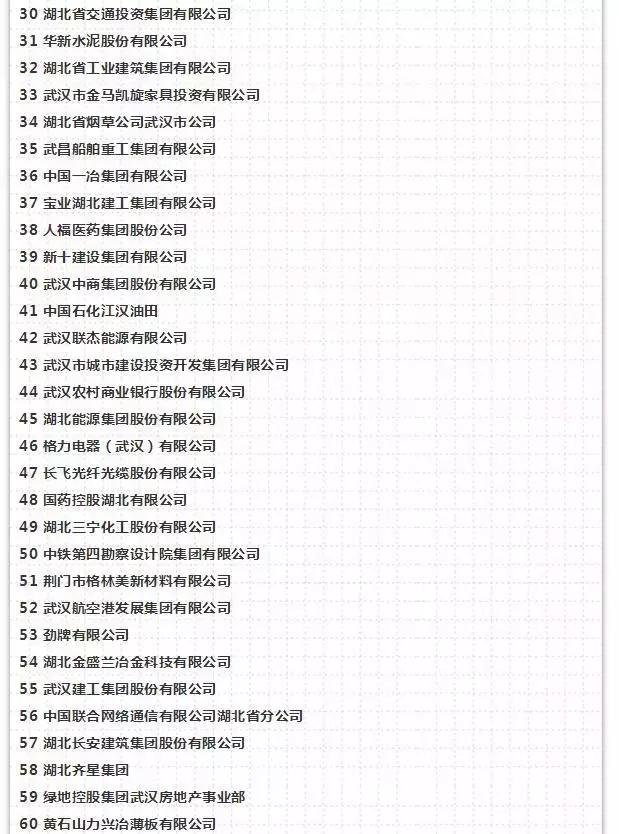 湖北电子企业100强排名,湖北100强企业