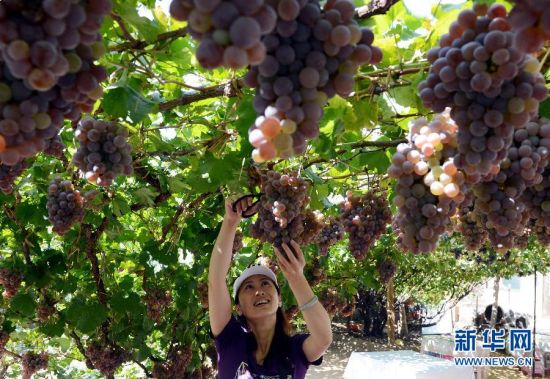 从一首诗带你玩“昌黎”，快来这里旅游