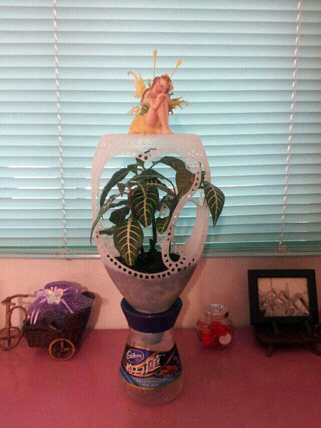 奥妙洗衣液瓶做花盆教程简单,洗衣液瓶子简单养花教程图片