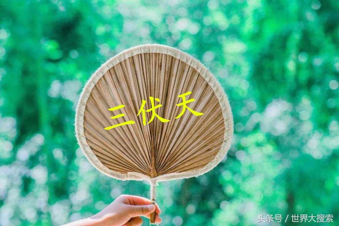 重庆冰雪世界有哪些地方,重庆室内冰雪世界