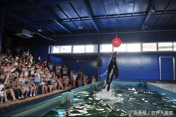 重庆冰雪世界有哪些地方,重庆室内冰雪世界