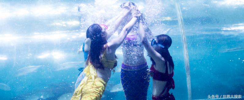 重庆冰雪世界有哪些地方,重庆室内冰雪世界