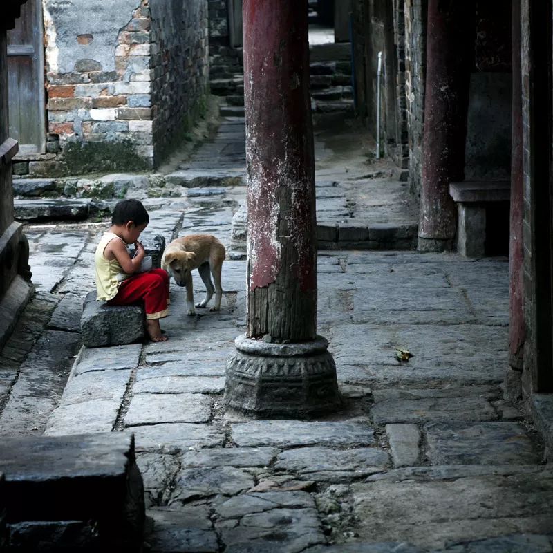 日暮乡关何处是翻译,日暮乡关何处是